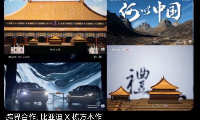 2024 栋方发展历程资料图片